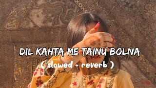 Dil Kehnda Main Tenu Bola Lyrics ( slowed+ reverb) || Lofi song
