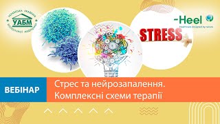 Стрес та нейрозапалення. Комплексні схеми терапії