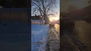 Sunset 💙 - #vlog #canadavlog #canada #Snow #winter