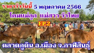 EP.2 #ราคาวัววันนี้ 5 พ.ค. 2566 #ตลาดวัวภูดิน อำเภอเมือง จังหวัดกาฬสินธุ์ บราห์มันโคมแม่ลูก แม่สาว