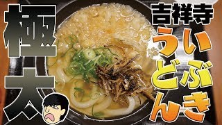 【行列】極太麺でいりこ入れ放題の立ち食いうどん屋さん！【いぶきうどん】