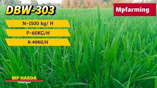 dbw 303 wheat variety details in hindi | dbw 303 wheat variety details | dbw 303 gehu ki verayti