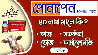 গরুর জ্বর হলে করণীয় | গবাদিপশুর এন্টিবায়োটিক ইনজেকশন প্রোনাপেন ৪০ লাখ pronapen 40 lac কাজ ডোজ দাম