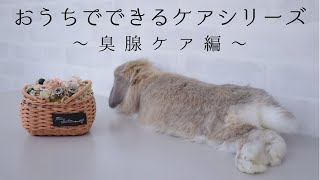 おうちでできるケアシリーズ vol.4 ～臭腺ケア編～