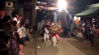 戸水八幡神社獅子舞保存会 宮入り 大島流 加賀獅子