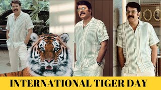 MAMMOOTTY in TIGER LOOK | മമ്മൂക്ക | മമ്മൂട്ടി | International Tiger Day | Happy Tiger Day