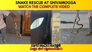 Snake Rescue in  Shivamogga | Near Bommana katte