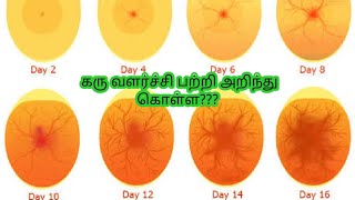 கோழி முட்டைகளில் கரு வளர்ச்சி பற்றி அறிந்து கொள்ள இந்த வீடியோ உங்களுக்கு உதவியாக இருக்கும்