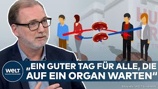 ORGANSPENDE: Überkreuzspenden bald möglich! So werden Nierenspenden  künftig erleichtert