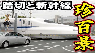 自動車道路の踏切を横切る東海道新幹線！静岡県西伊場まで調査してきました！