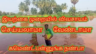 இயற்கை முறையில் விவசாயம் செய்யலாமா வேண்டாமா கமெண்ட் பன்னுங்க நண்பா #trendingvedios #farming#trending