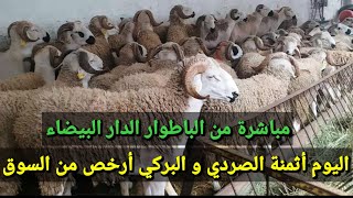 مباشرة من باطوار الدار البيضاء الحولي موجود الصردي والبركي بأحجام متنوعة ثمان معقول أجي تشوف بعينيك