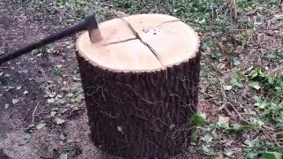 Holz spalten .Einen grossen Baum spalten mit der Axt 80x70cm !!  So wirds richtig gemacht !!!