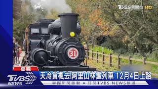 天冷盼楓紅! 阿里山林鐵賞楓列車 12月4日啟動｜TVBS新聞 @TVBSNEWS01