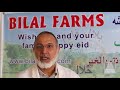 bilal farms offers halal option for muslims