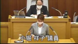 小堀祥子の代表質疑〜議案第102号令和2年度川崎市一般会計補正予算テイクアウト等参入促進事業補助金について20200601