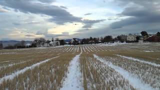 Winter Fields