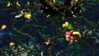 Donkey Kong Country 2 - 102% Walkthrough, Part 24 - Bramble Scramble