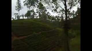 Travel on Train in Sri Lanka - Udarata Manike train going through tea plantation at Hatton area