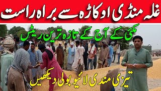 Today Live Updates From Galla Mandi Okara |Maize Prices In Ghala Mandi Okara 2024 || Makki ke Rates