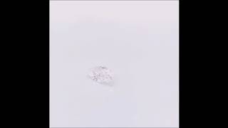 Diamond #4973 -  1.64ct Marquise E VVS2