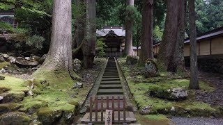 [ Walking Tour ] Want to be spirited away in Japan? Daihonzan-Eiheiji, Fukui.