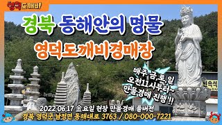 경북 동해안의 명물!! 영덕도깨비경매장🦀!! (2022.06.17 金요일 현장 만물경매 풀버전)