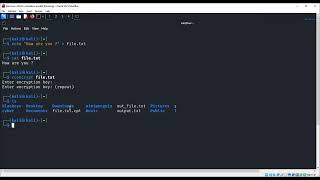 ccrypt tool for encrypting and decrypting files
