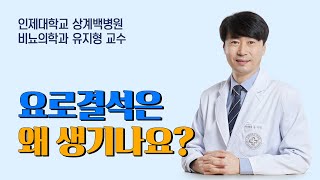 여름철에 특히 주의! 요로결석은 왜 생기나요?