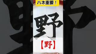 【野】#書道 #習字書き方 #習字 #習字教室 #楷書 #japanesecalligraphy