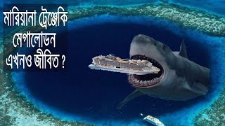 মারিয়ানা ট্রেঞ্চেকি মেগালোডন এখনও জীবিত ? Does Megalodon Still Alive in Mariana Trench in Bangla