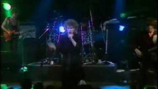 Alice's House - Psychedelic Furs