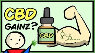 Can CBD Improve Muscle Gains? (Current Evidence)