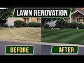 Renovate Your Lawn - Step By Step Process!!