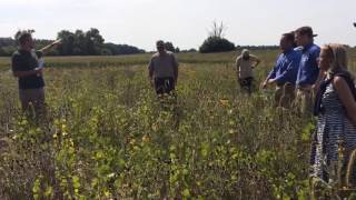 Michigan DNR wildlife biologist discusses Ann Arbor Township project