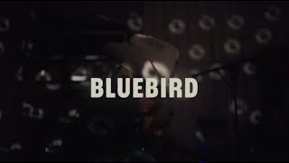 Embla and the Karidotters - Bluebird (Live from a Basement in Oslo)