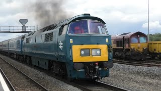 Diesel Railtour Review 2024 - Ft 16 Different Class`s