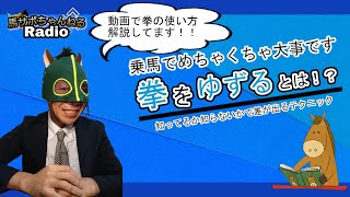 乗馬で大切！！『拳をゆずる』簡単解説セミナー　～使い方・説明・具体例～