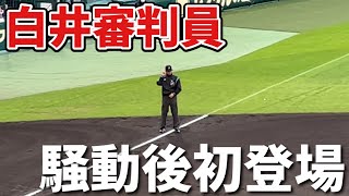 白井審判員 騒動後初の仕事ぶりを撮影【22/04/27 阪神vs中日 甲子園】