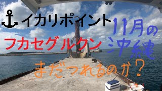 ハイボール師匠が降格？フカセグルクン調査【沖縄の釣り】【北部車横付けポイント】