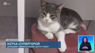 Домашна котка спаси дете от пожар в Нова Загора