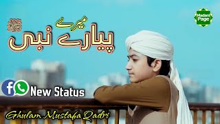 Mere Piyare Nabi ﷺ | Ghulam Mustafa Qadri New Whatsapp Status | New Naat 2021 Status