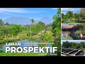 JUAL TANAH PUNCAK CIPANAS | COCOK UNTUK VILLA & PENGEMBANGAN USAHA | 2 hektar | 1,2 juta/m..NEGO