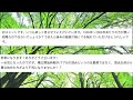 【q u0026a】レバナスなら300万円×10年でfire達成だ！！！