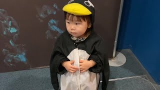 ほのまるペンギン🐧【Honomaru Penguin】