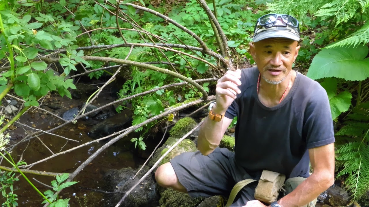 Tickling A Trout Youtube