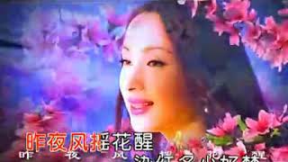 汤灿   又见桃花红