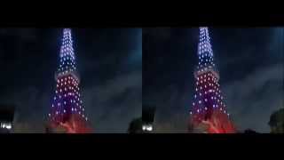 TokyoTower120316.wmv