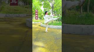 677  全球最流行太极拳：二十四式太极拳（完整演示 口令字幕）#太极 #太极拳 #太极拳教学