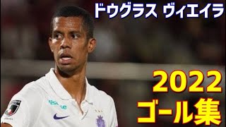 ドウグラス・ヴィエイラ　サンフレッチェ広島　2022年ゴール集　全5ゴール　Jリーグ・天皇杯